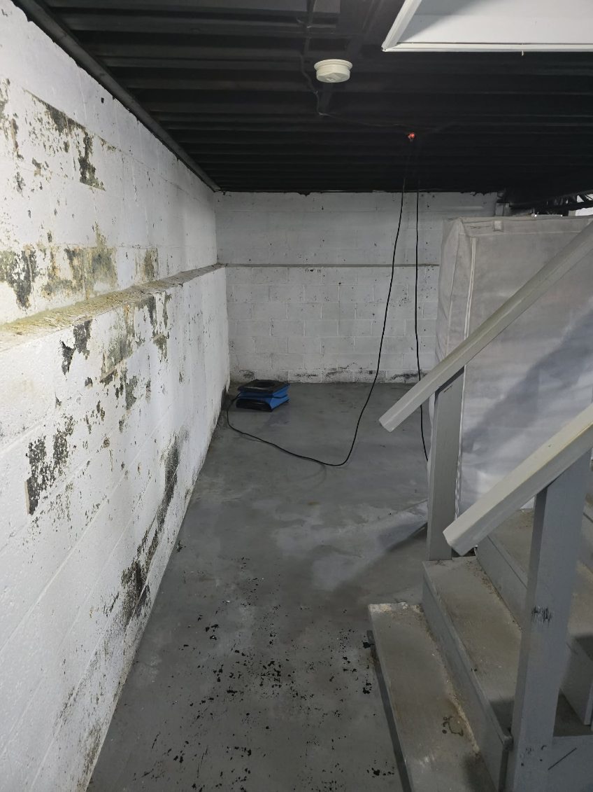 Restoration Project Image 7